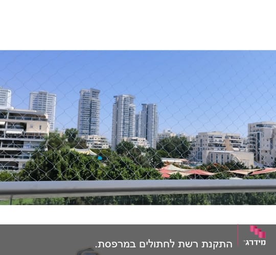 נוף עירוני עם רשת למניעת יונים